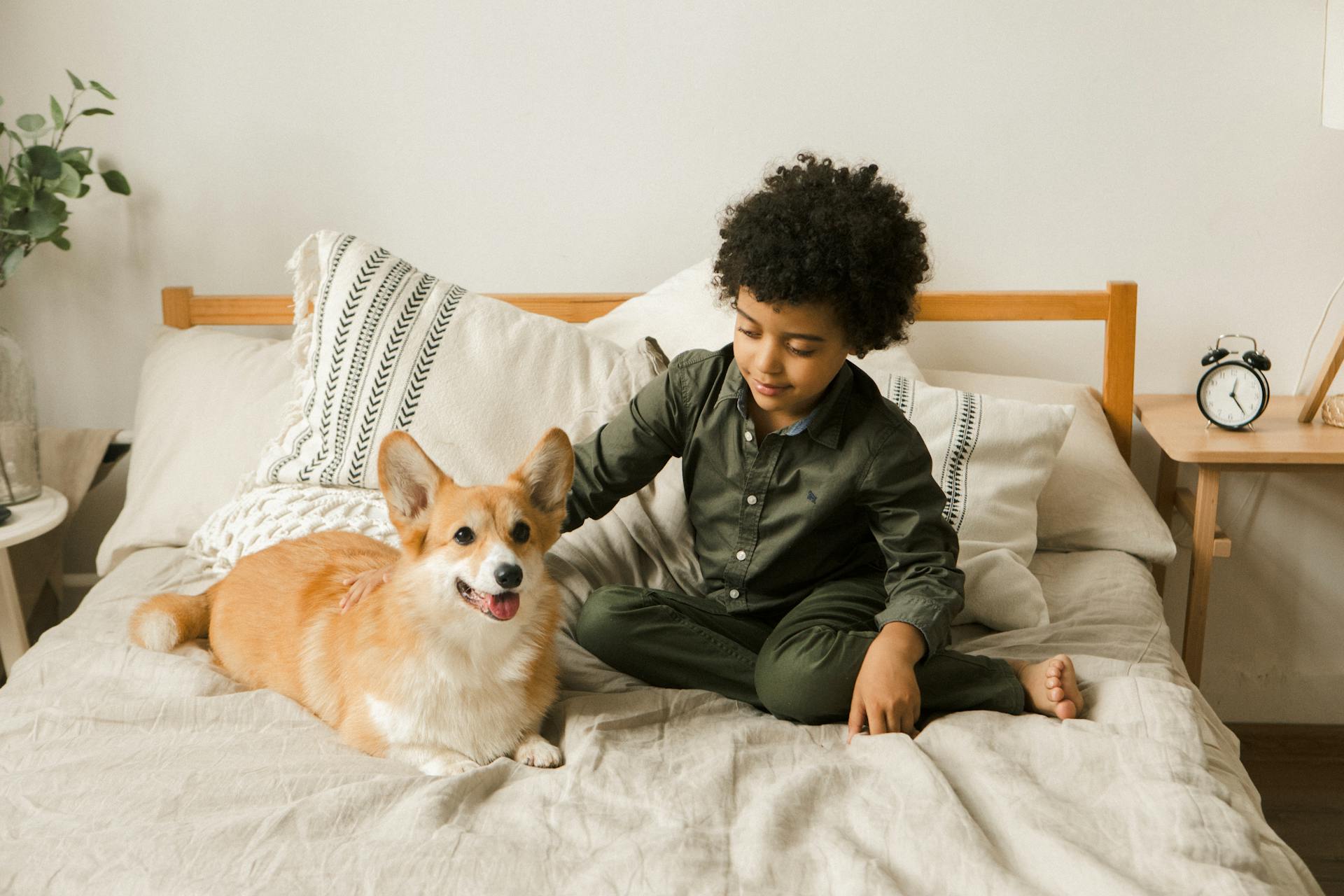 Menino relaxando com corgi em quarto aconchegante